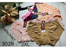 QUẦN THIÊN PHÁT 3029 - LỐC 10 CÁI